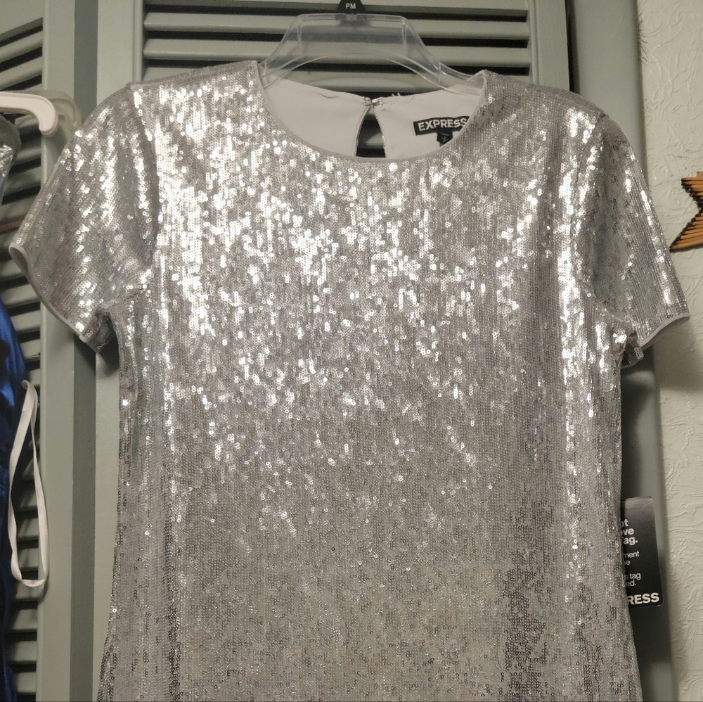 H&M Sequin Dress